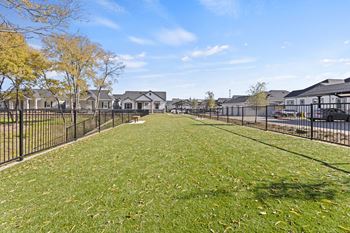 Dog park